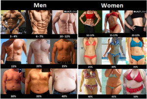Body Fat Percentages